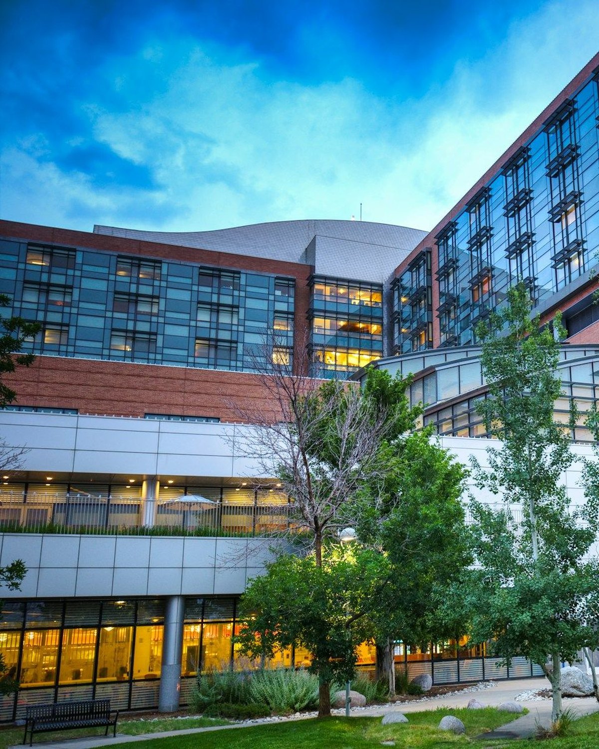 A large modern hospital at dusk: a brick and glass facade with warmly lit windows above a garden of young trees.